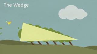 Arbor Day—How to Read a Tree by Tristan Gooley Wealth