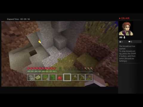 Minecraft W/ Dreamy