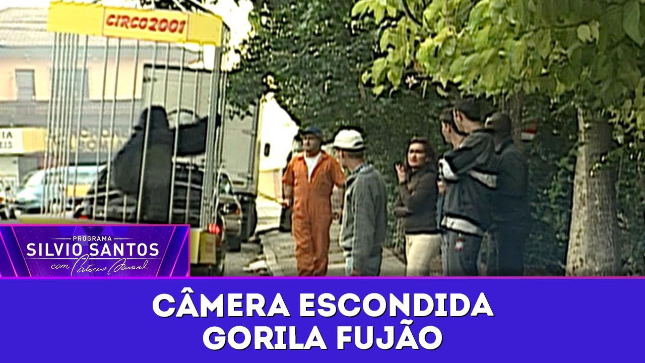Gorila Fujão | Câmeras Escondidas (25/07/25)