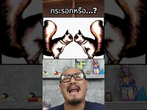 ใครเห็นก็ว่ากระรอก แต่จริงๆมันคือ...? #puzzle #quiz #challenge #เพื่อนซี้ตัวแสบ #555infinity