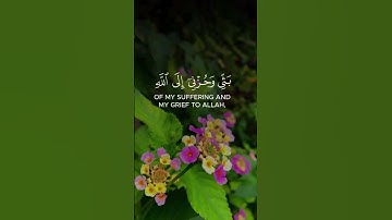 (سورة يوسف آيه 86)#سعد الغامدي