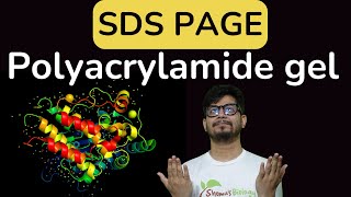 SDS PAGE gel electrophoresis | sds page principle explained | poly acrylamide gel electrophoresis