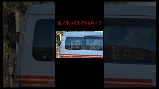 え、そうですよね・・・？ #shorts