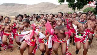 Umhlanga Festival   Swaziland   Africa