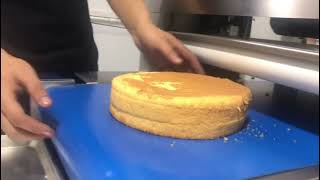 Horizontal Cake Cutting Machine