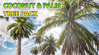 Coconut and Palm Tree Pack | Unreal Marketplace by Dazzling Divine CGI 468 views 3 months ago 3 minutes, 27 seconds