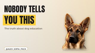 What nobody tells you about dog education 