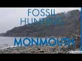 Fossil hunting Monmouth with amazing Nautilus find ! Dorset part 5