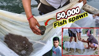 Download lagu How many hours does fish spawn survive? 50,000 fish spawn in one bowl / fish seed oxygen packaging