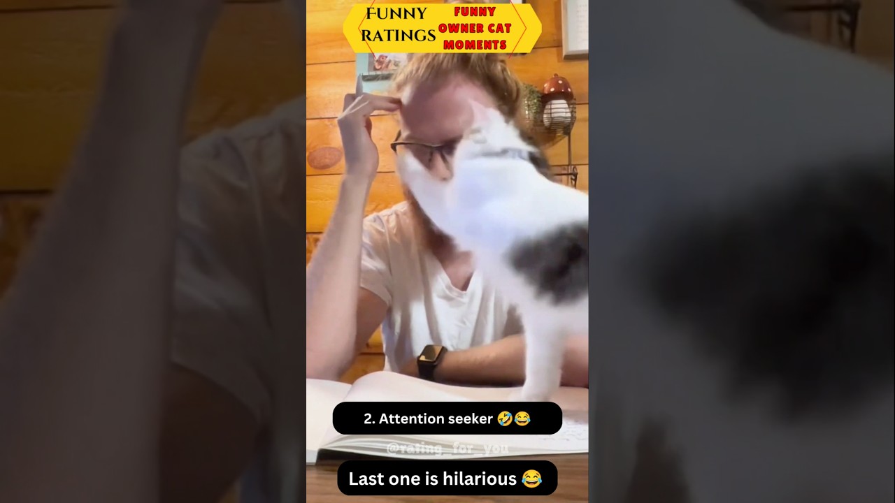 The real attention seekers are here 😂🤣 