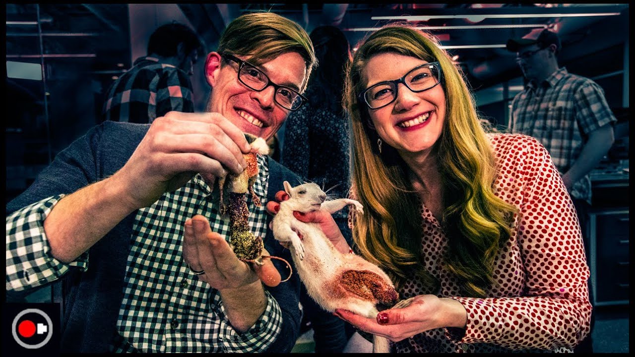 How To Skin A Squirrel Museum Prep 101 Youtube pertaining to how to skin a squirrel pertaining to Invigorate How To Skin A Squirrel Museum Prep 101 Youtube pertaining to how to skin a squirrel pertaining to Invigorate