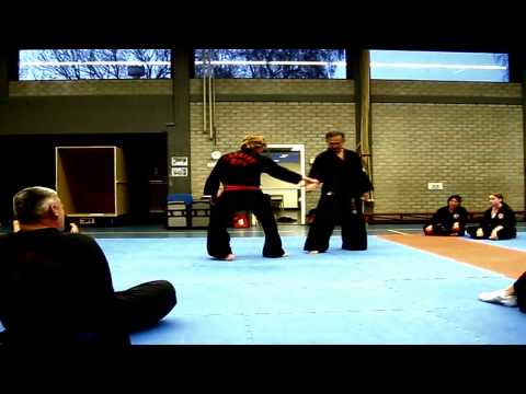 Yu Sin Kwan - Hapkido Promo