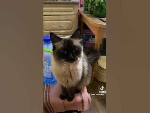 Осечка помогает на кухне ) - YouTube