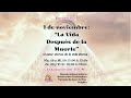 La Vida después de la Muerte 1 _ Martes 28 10 25 #canalización #vidadespuésdelamuerte #mascotas