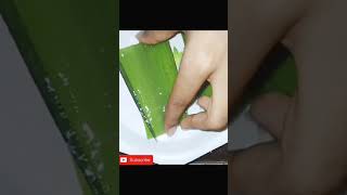 shorts How to make aloe vera gel at home | ytshorts homemadealoeveragel aloeveragel