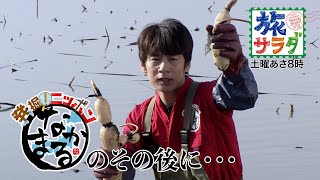 【発掘！ニッポン　なかまる印】のその後に・・・＃２１