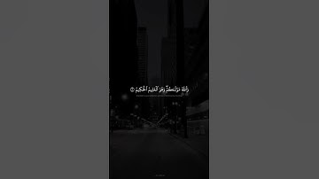 سورة التحريم    #القران الكريم #المنشاوي  #اكسبلور #لايك #راحة_نفسية