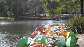 Emerald Lake Paddleboats (Emerald)
