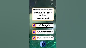 USA Quiz Challenge: Test Your Knowledge with These Questions! #usa #usashorts #usaquiz #usafacts