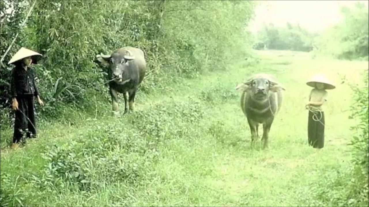 A Journey of Service by Fred Perez