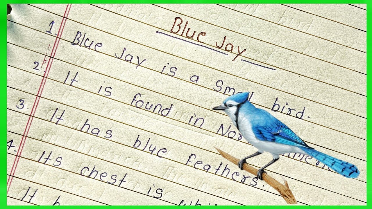 10 Line On Blue Jay in English | Essay on Blue Jay | Blue Jay Essay ...