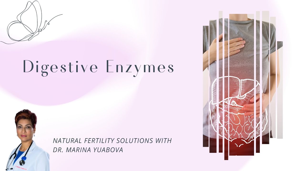 Digestive Enzymes YouTube
