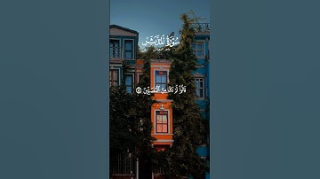 تلاوة خاشعة للشيخ ماهر المعيقلي #قرآن #قران_كريم #المصحف #راحة_نفسية #quran