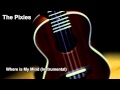 The Pixies Where Is My Mind Instrumental 
