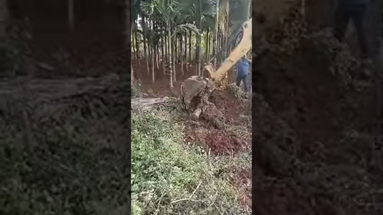 Village Life karnataka is live!