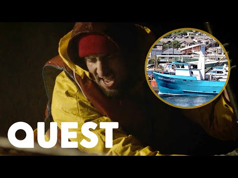 Video: Har fv-destinasjonen blitt funnet?