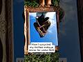 How to upcycle antique frames into mirrors in three easy steps #thrifting #upcycle #hack #reseller