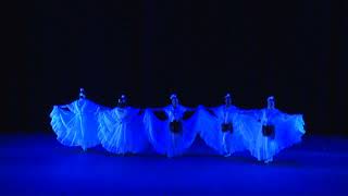 Ballet Folklorico Una Noche En Veracruz - La Bruja Part 1