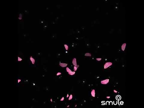 お座敷小唄【歌ってみた】