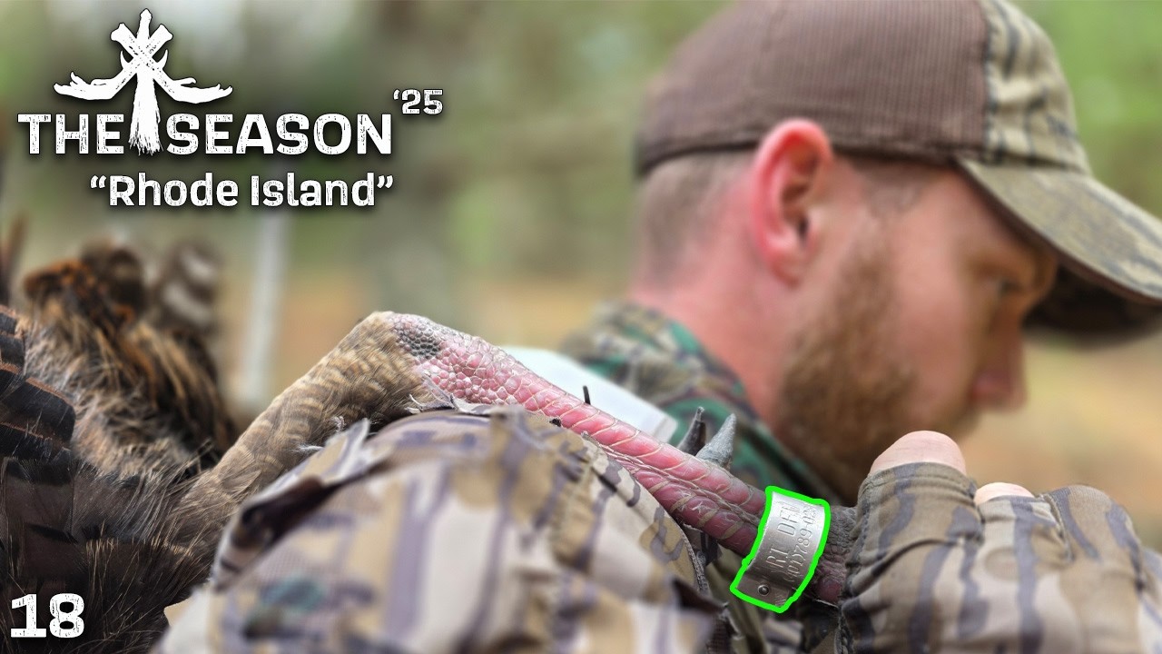 Напряженная охота | Кольчатая длиннобородая индюшка с острова Род-Айленд | Джейк добыл своего вто...