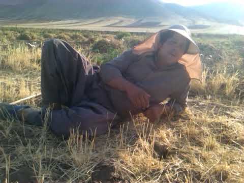 دنگ پاپ لری 