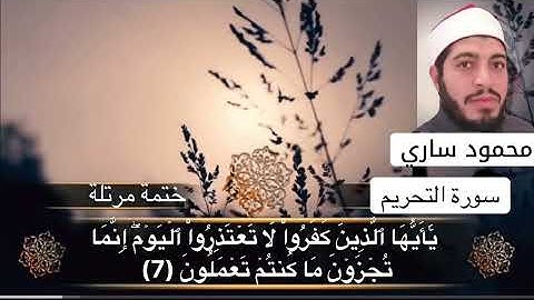 سورة التحريم.. ترتيل