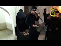 الطميه جديده الرادود محمد الحجيمي mp3