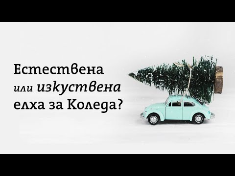 Видео: Коледни топиари – съвети за направата на коледен топиар