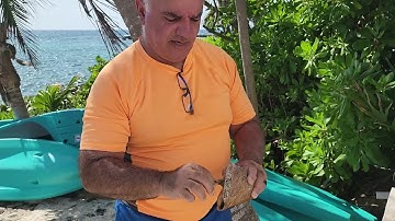 Removing a conch muscle from it