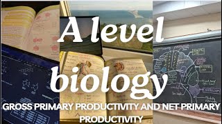 A Level Biology Edexcel A SNAB: GPP and NPP