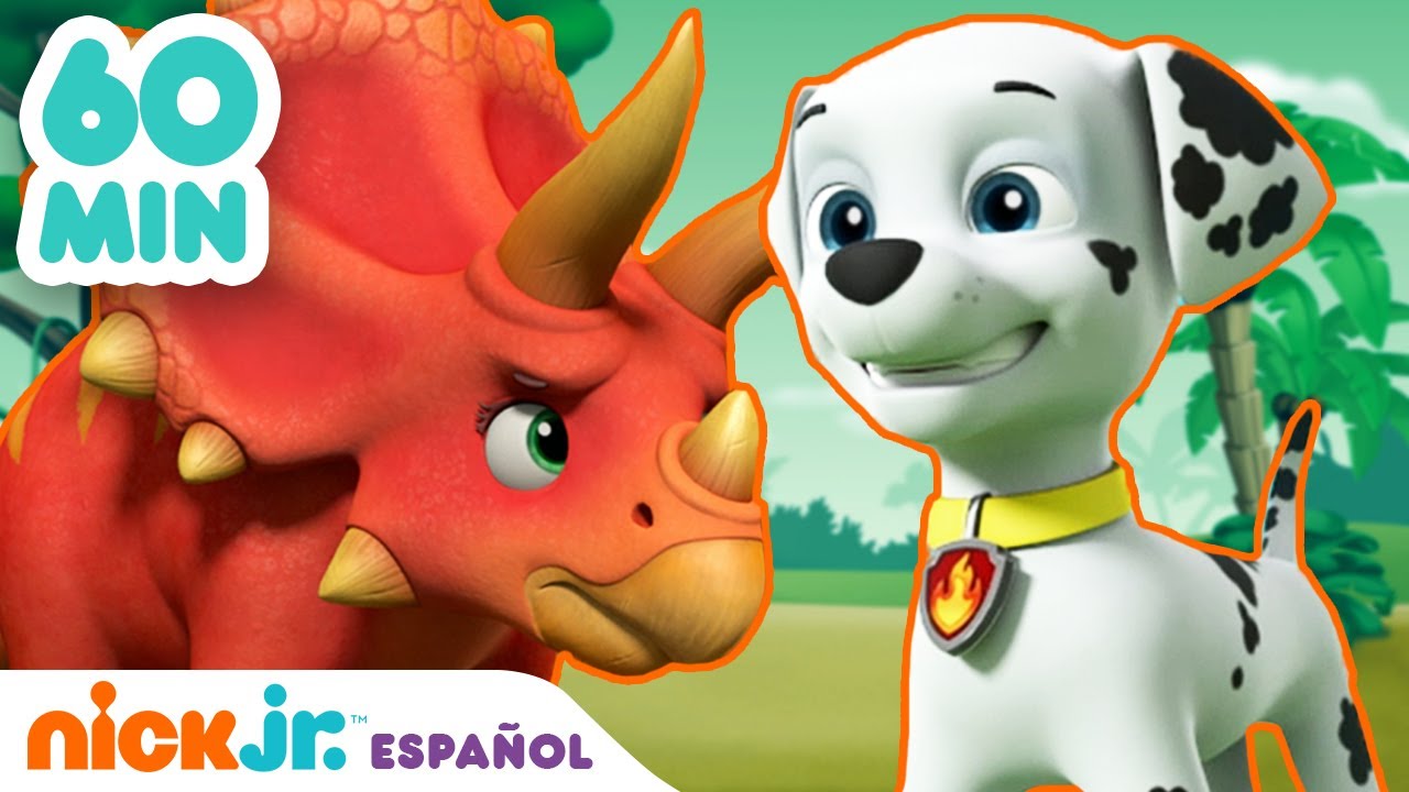 Paw Patrol, Patrulla de cachorros | 60 MIN del nuevo Paw Patrol | Nickelodeon