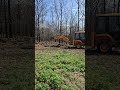 Digging holes for apple trees March 2025