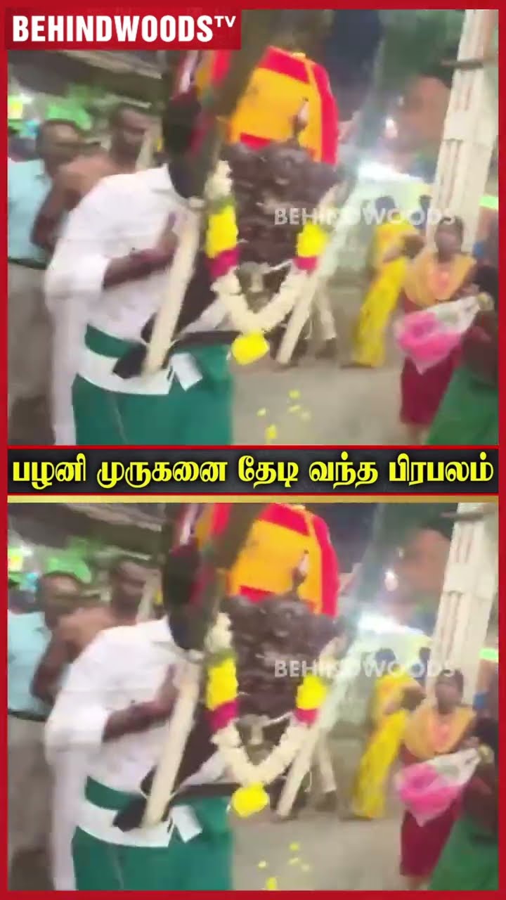 முருகனுக்கு காவடி எடுத்த Bjp Annamalai ? Viral Video