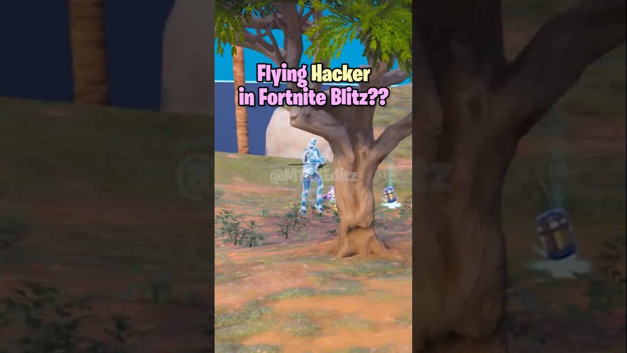 I fought a hacker in Fortnite Blitz ?? ✈🖥 (fly cheater) #fortnite #shorts #blitz