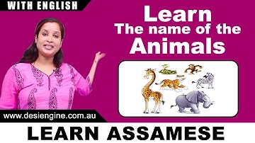 Learn the Name of Animals | Learn Assamese | Desi Engine India
