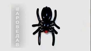 Паук из шаров на Хэллоуин / Spider of balloons on Halloween Паук из шаров на Хэллоуин / Spider of balloons on Halloween