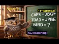 11+ Word-Letter Codes in Verbal Reasoning!