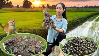Harvesting and Find Frogs, how to cook frogs, gardening, animal care  Live with nature