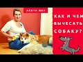 Шок! Как и чем вычесать собаку? Столько шерсти за 5 минут! Фурминатор Furminator