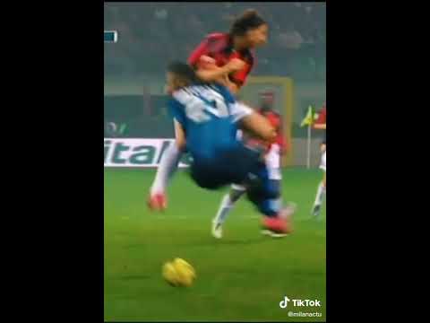 IBRAHIMOVIC vs MATERAZZI 2010